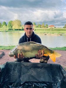 Mirror Carp