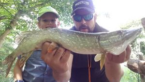 Northern Pike