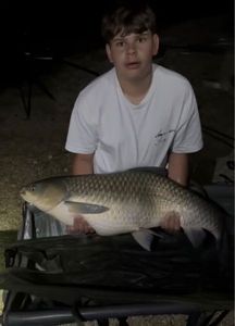 Grass Carp