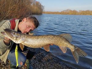 Northern Pike