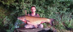 Grass Carp