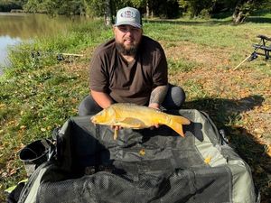 Mirror Carp