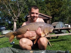 Common Carp
