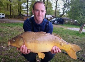 Mirror Carp