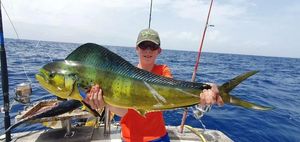Dolphinfish