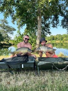 Common Carp