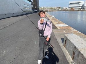 European Bass (Seabass)