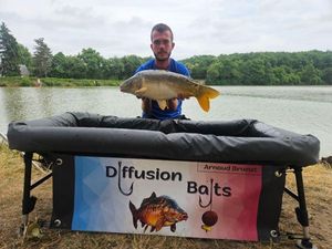 Mirror Carp