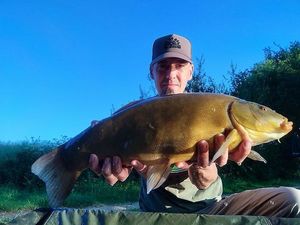 Tench