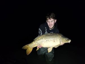 Mirror Carp
