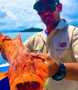 Coral Trout