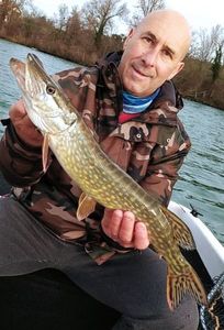 Northern Pike