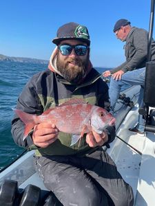 Red Porgy