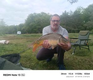 Mirror Carp