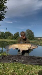 Grass Carp