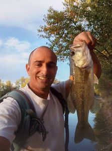 Largemouth Bass