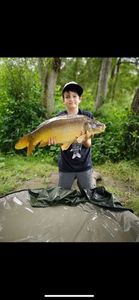 Mirror Carp