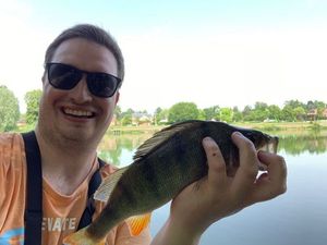 European Perch