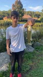 Largemouth Bass