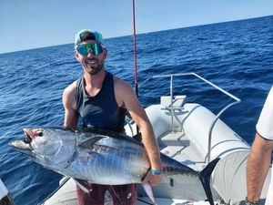 Bluefin Tuna