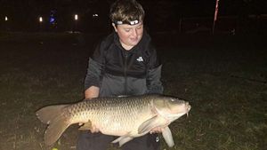 Common Carp