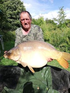 Mirror Carp