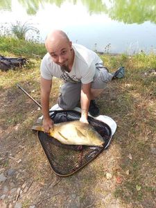 Mirror Carp