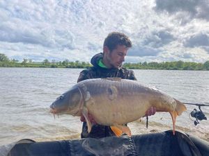 Mirror Carp