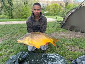 Mirror Carp