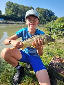 Mirror Carp