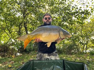 Mirror Carp