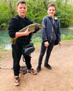 Northern Pike