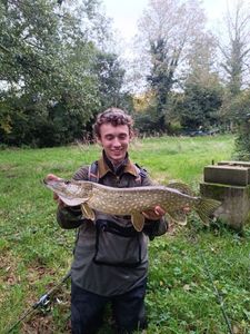 Northern Pike