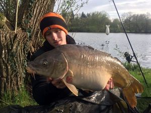Mirror Carp