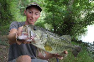 Largemouth Bass