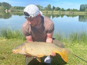 Common Carp