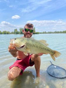 Largemouth Bass