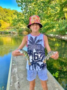 European Perch