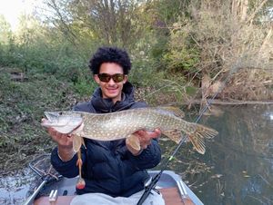 Northern Pike