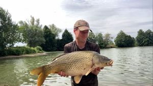 Common Carp