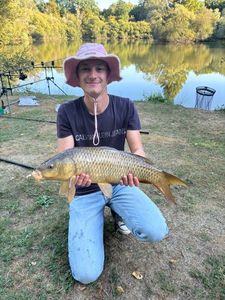Common Carp