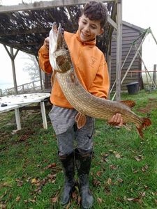 Northern Pike
