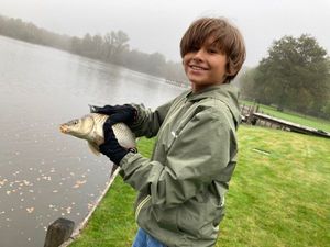 Common Carp