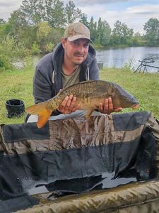 Mirror Carp