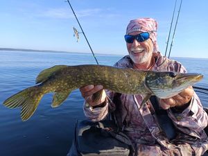 Northern Pike