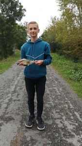 Largemouth Bass