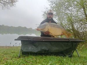 Mirror Carp