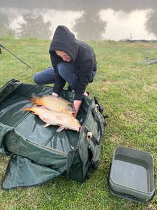 Common Carp