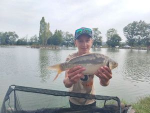 Mirror Carp