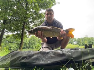 Mirror Carp